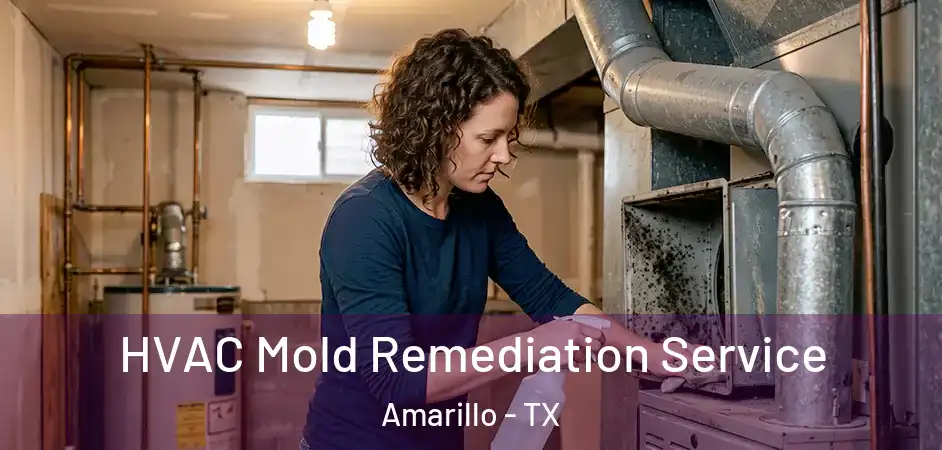  HVAC Mold Remediation Service Amarillo - TX