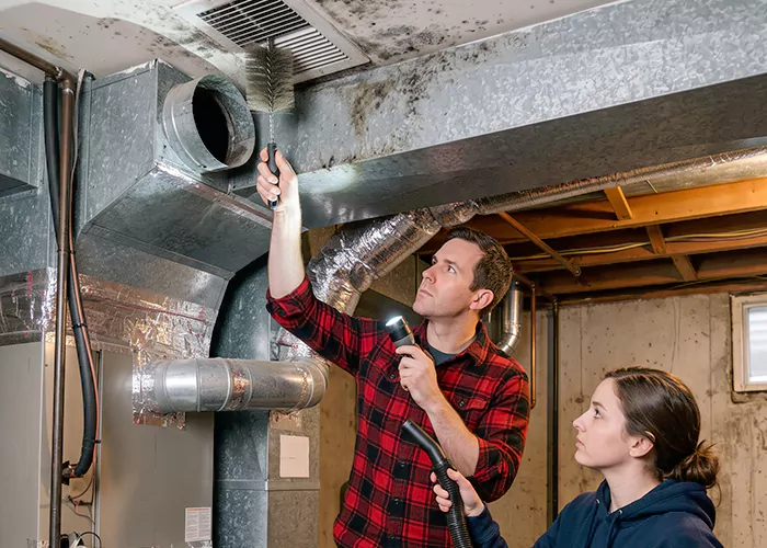Premier HVAC Mold Remediation Company in Amarillo
